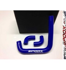Peugeot 306 GTI-6 / Rallye Silicone Vacuum Pump Hose Kit (BLUE)