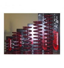 ERS (Eibach Race Spring) 300mm x 60mm x 342lb