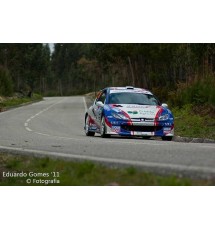 Peugeot 206 3dr - Lexan Front Windows (4mm Clear)