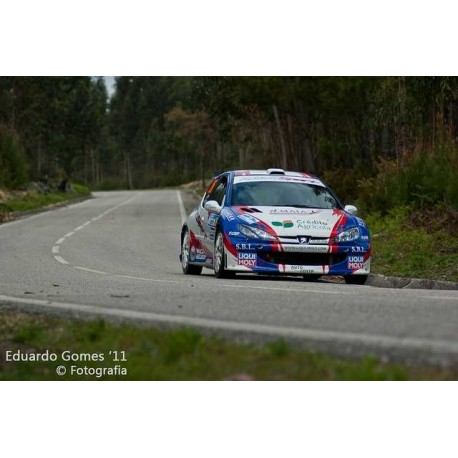 Peugeot 206 3dr - Lexan Front Windows (4mm Clear)