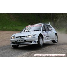 Peugeot 306 3dr - Lexan Rear Quarter Windows (4mm Clear)