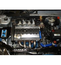 Citroen C2 VTS Throttle Body and Management Kit