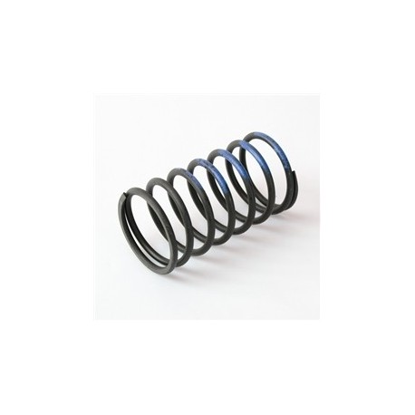 Turbosmart 10psi Middle Spring - Black / Blue