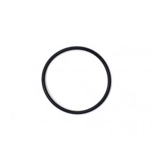 Titan Throttle Body Seal (manifold to head) - Each