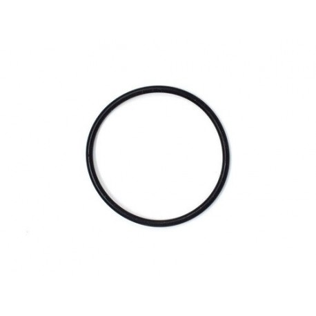 Titan Throttle Body Seal (manifold to head) - Each