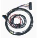 Omex 200 ECU Full "Race" Harness