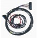 Omex 200 ECU Full "Race" Harness