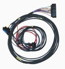 Omex 600 ECU Full Race Harness