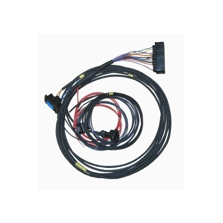 Omex 600 ECU Full Race Harness