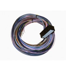 Omex 710 ECU Plug & Tails