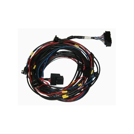 Omex 600 ECU Full Basic Harness