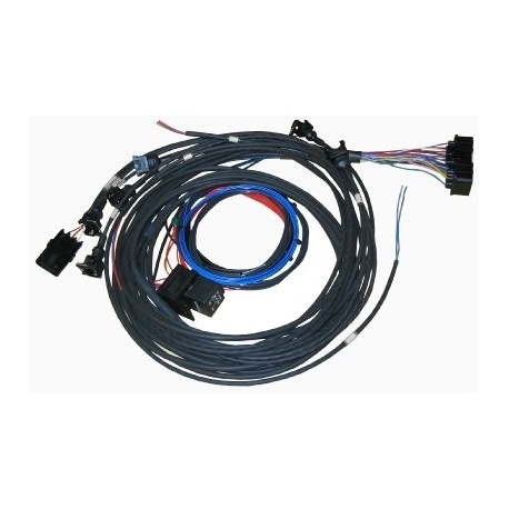 Omex 600 ECU Full Basic Harness