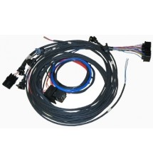 Omex 710 Bespoke Race Spec Harness