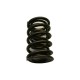 Kent Cams Peugeot 205 GTI double valve spring set