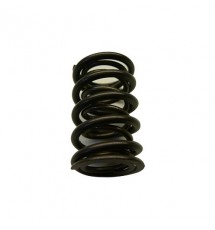 Kent Cams Peugeot 309 GTI double valve spring set