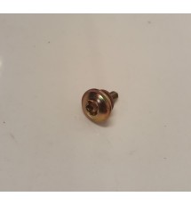 Genuine OE Peugeot 205 / 309 Original Sunroof Torx Bolt - 8403.36 (1)