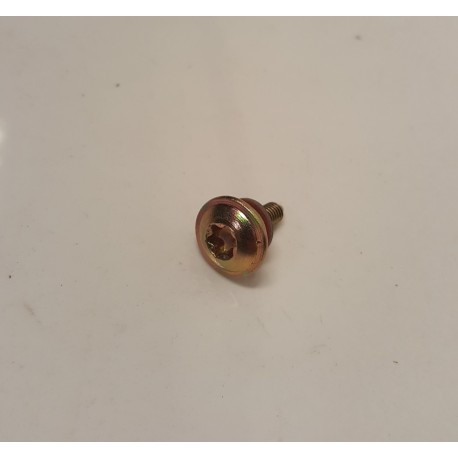 Genuine OE Peugeot 205 / 309 Original Sunroof Torx Bolt - 8403.36 (1)