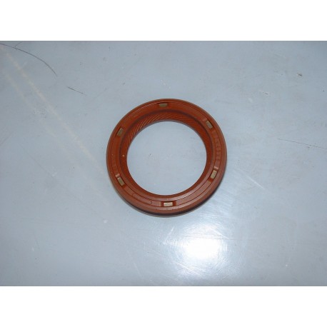 Peugeot 405 Mi16 Cam Seal (Cambelt End)