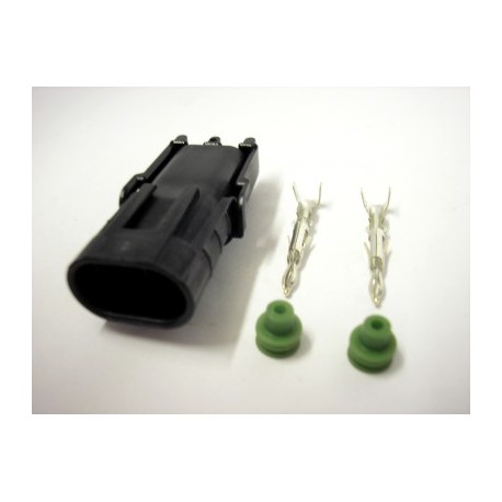 2 Pin / 2 Way Delphi Female Connector