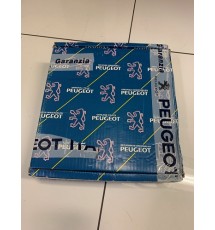 Genuine OE Peugeot 205 1.6 GTI front brake discs (PAIR) - 4246.A6