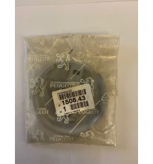 Genuine OE Peugeot 205 fuel cap cover - 1508.43