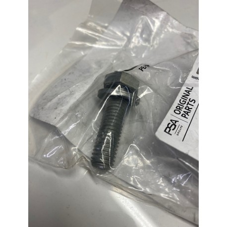 Genuine O/E Peugeot 205 / 309 GTI Cam Pulley Securing Bolt - 6923.E6