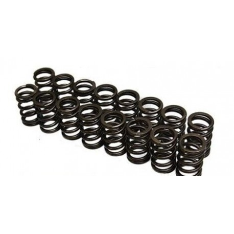 Newman Cams Citroen Saxo VTS Uprated Valve Spring Kit