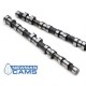Peugeot 106 GTI Turbo Camshafts (HYDRAULIC) (TU5J4)