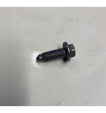 Genuine Peugeot 106 GTi Sump Bolt (1)
