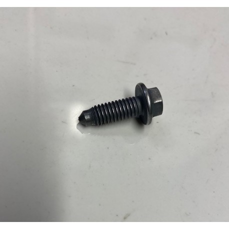 Genuine Peugeot 106 GTi Sump Bolt (1)