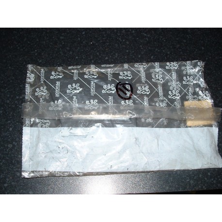 Peugeot 309 Goodwood (5door) NSR door bodykit trim - 8546.37