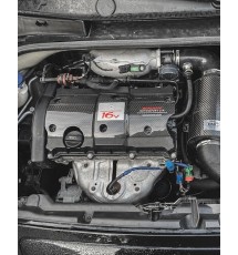 Citroen C2 VTR/VTS/GT (TU5JP4) Carbon Fibre Coilpack Cover