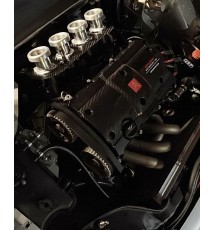 Peugeot 206 XSi (TU5JP4) Carbon Fibre Coilpack Cover