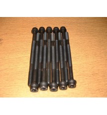 Peugeot 406 2.0 Turbo headbolt kit (XU10J2TE)
