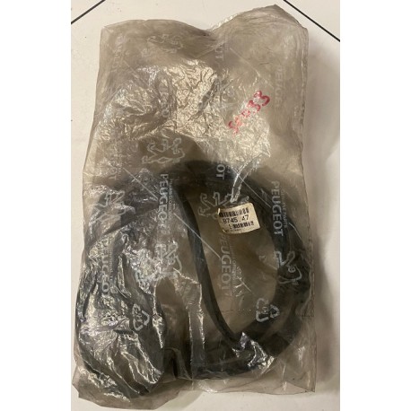 Genuine OE Peugeot 106 Phase 1 Rear Screen Seal - 8745.47