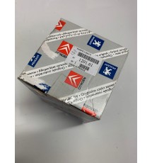 Genuine OE Peugeot 405 1.9 Mi16 Water Pump & Gasket - 1201.61