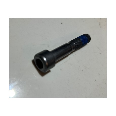 Genuine OE Peugeot 106 GTI TU5J4 Timing Belt Idler Securing Bolt