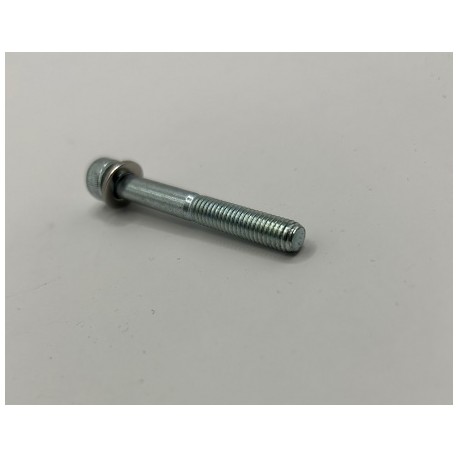 Genuine O/E Peugeot 306 GTI-6 / Rallye throttle body securing bolt - 1637.03 (1)