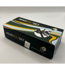 Peugeot 405 2.0 Mi16 XU10J4 BGA Headbolt Set - 0204.A0