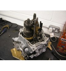 Custom Ratio BE Gearbox Builds