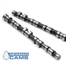 Peugeot 306 GTI-6 Newman PH4 Rally Sprint Camshafts (XU10J4RS)