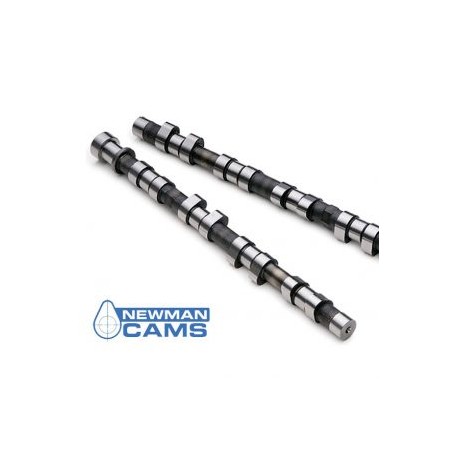 Citroen Xsara VTS Newman PH4 Rally Sprint Camshafts (XU10J4RS)