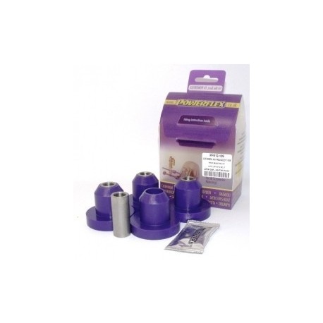 Peugeot 106/Saxo Uprated Rear Axle Mounting Kit