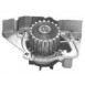 Citroen BX 16v Water Pump
