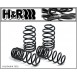 Citroen C3 H&R 50mm Lowering Spring Kit