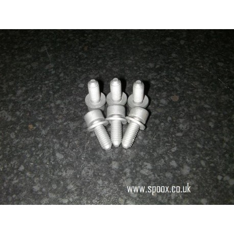 Peugeot 306 GTI-6 / Rallye Rear Brake Disc Cover Retaining Bolts (6)
