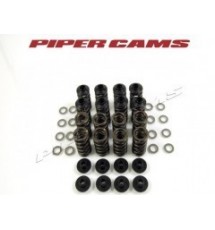 Piper Cams Peugeot 206 GTI 138 Race Valve Spring Kit