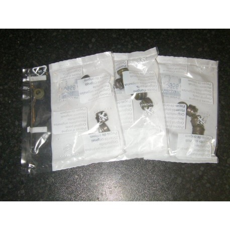 Genuine C2 VTS TU5JP4 Valve Stem Oil Seal Set (16)