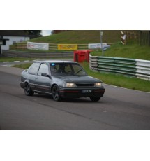 Peugeot 309 Perspex Front Side Windows (4mm Clear)