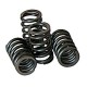 Piper Cams Citroen Saxo VTS Race Double Valve Springs